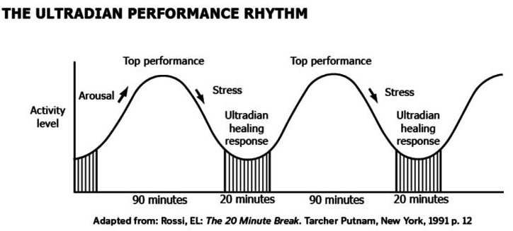I Ritmi Ultradiani di Prestazione - come migliorare le prestazioni sportive, lavorative e scolastiche grazie al riposo diurno
